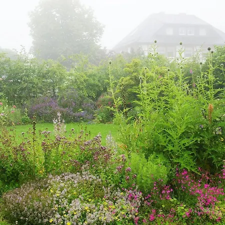 Apartamento Haus Mit Garten Hürtgenwald