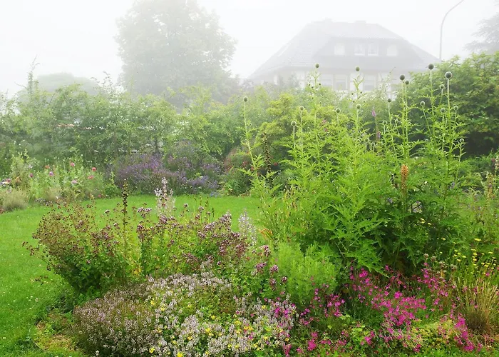 Lejlighed Haus Mit Garten Hürtgenwald